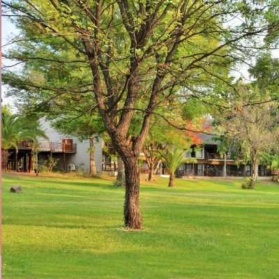 pic3